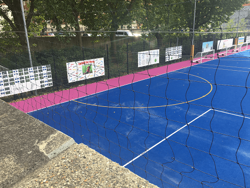 blue muga pitch with pink surround