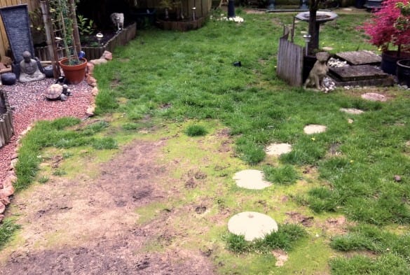 stepping stones amongst a muddy and patchy garden