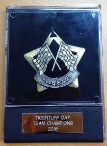 tigerturf award