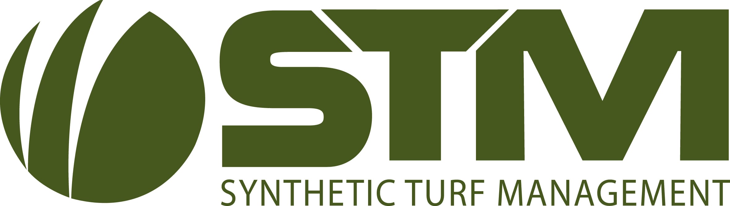 STM logo