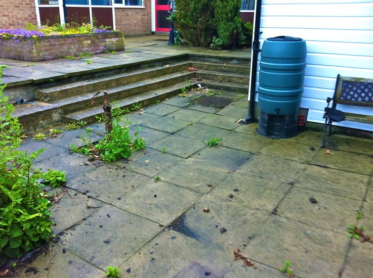 paving slabs with weeds coming through
