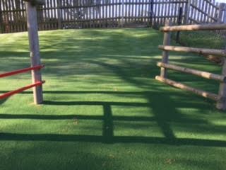 artificial grass landscaping in the school