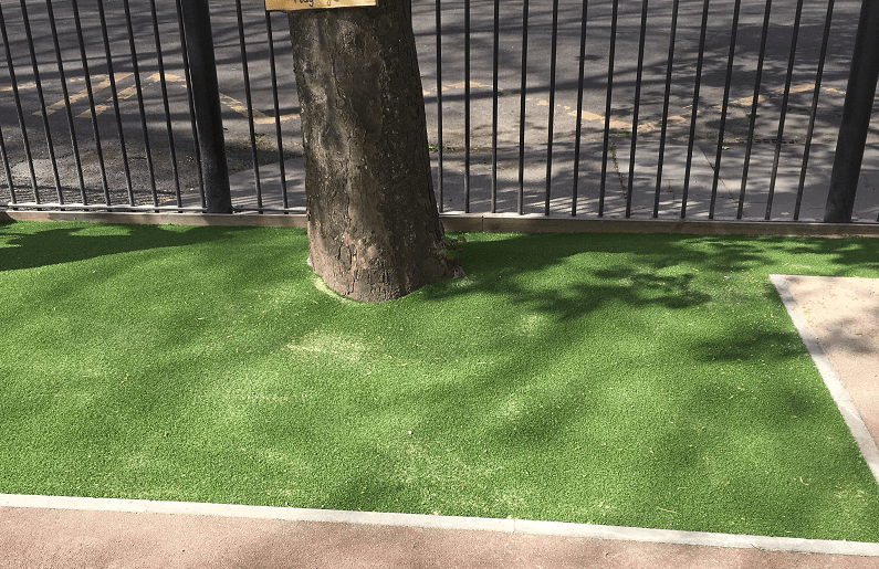 artificial grass cut around a tree in the school yard